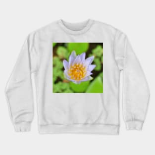 Egyptian Lotus Close Up Crewneck Sweatshirt